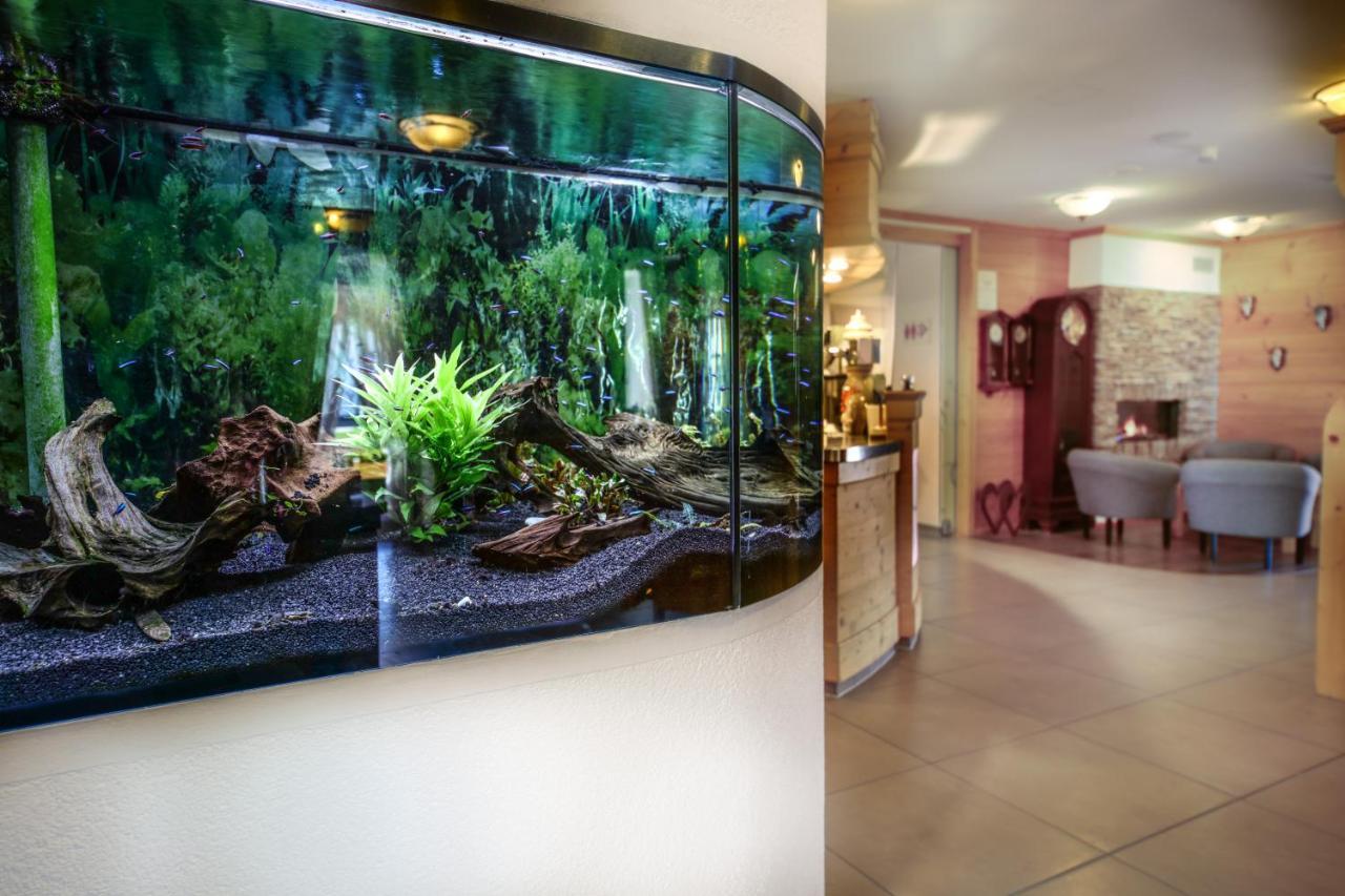 Hotel Restaurant Schwoerer Ленцкирх Экстерьер фото